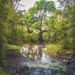 the-french-cottage-64