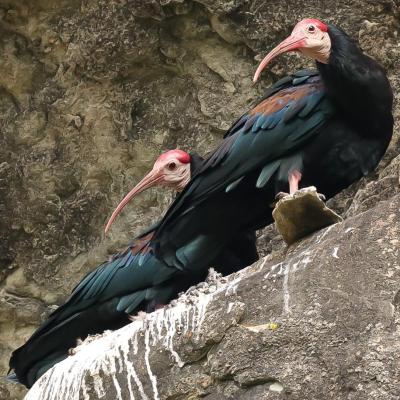 6421fd3b 5b8c 4da6 9839 3239a04d0003